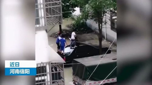 汽车蹦床多少钱